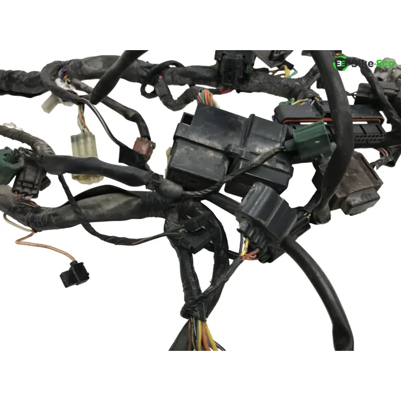 Faisceau electrique SUZUKI DL 1000 2002-2006 VSTROM