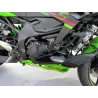 KAWASAKI ZX 4 R