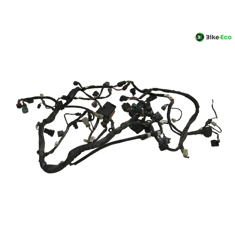 Faisceau electrique SUZUKI DL 1000 2002-2006 VSTROM