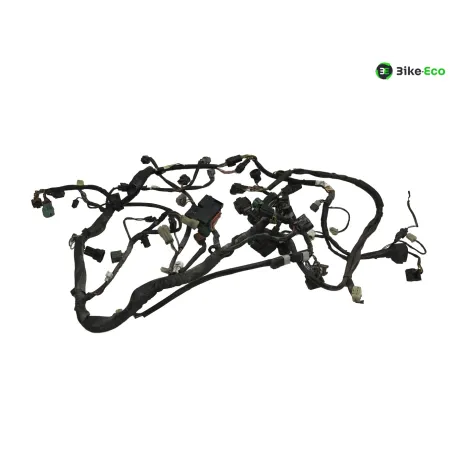 Faisceau electrique SUZUKI DL 1000 2002-2006 VSTROM