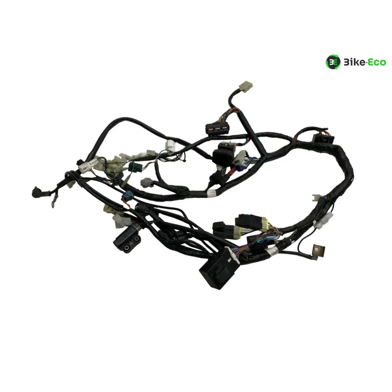 Faisceau electrique YAMAHA XT 660 R 2004-2006