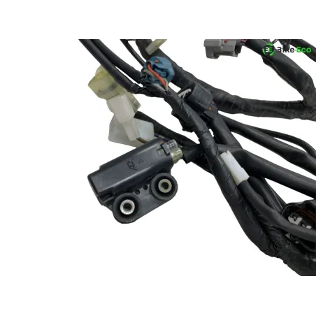 Faisceau electrique YAMAHA XT 660 R 2004-2006