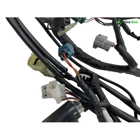 Faisceau electrique YAMAHA XT 660 R 2004-2006
