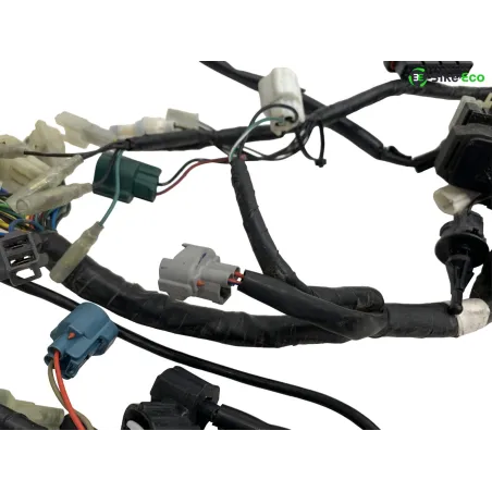 Faisceau electrique YAMAHA XT 660 R 2004-2006