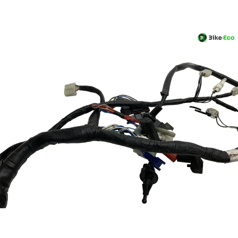 Faisceau electrique YAMAHA XT 660 R 2004-2006