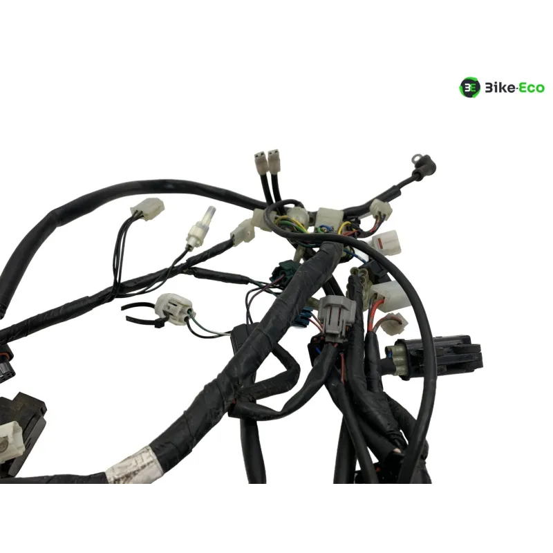 Faisceau electrique YAMAHA XT 660 R 2004-2006