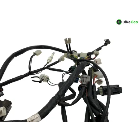 Faisceau electrique YAMAHA XT 660 R 2004-2006