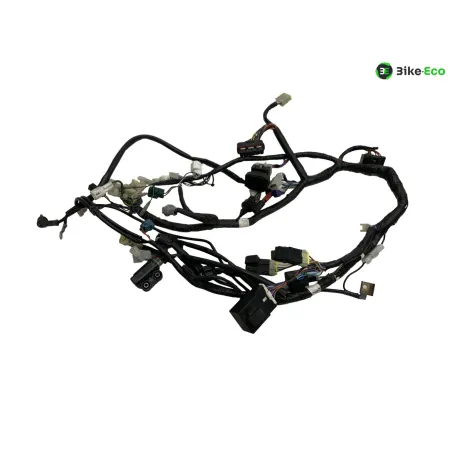 Faisceau electrique YAMAHA XT 660 R 2004-2006