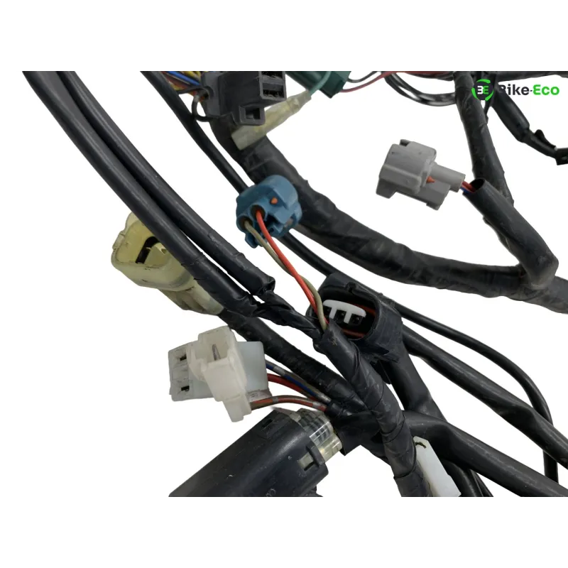 Faisceau electrique YAMAHA XT 660 R 2004-2006