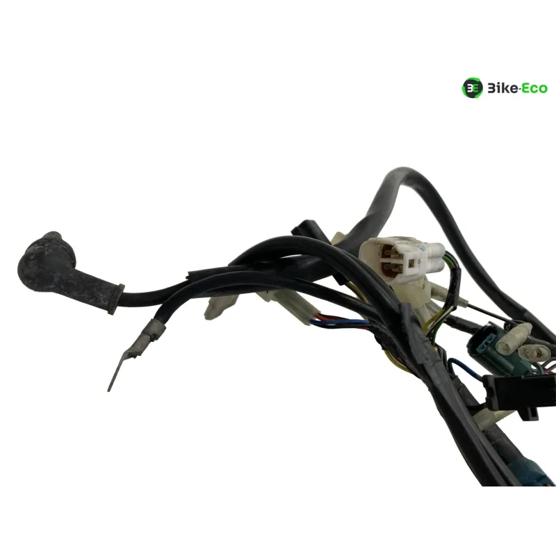 Faisceau electrique YAMAHA XT 660 R 2004-2006