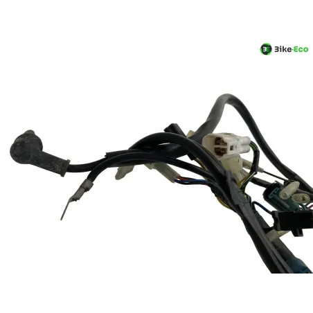 Faisceau electrique YAMAHA XT 660 R 2004-2006