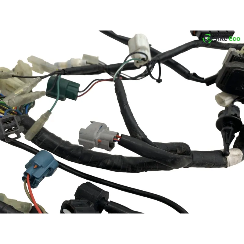 Faisceau electrique YAMAHA XT 660 R 2004-2006