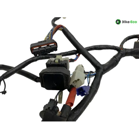 Faisceau electrique YAMAHA XT 660 R 2004-2006