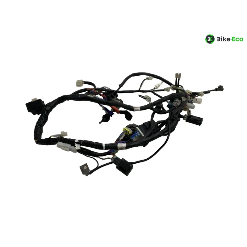Faisceau electrique YAMAHA XT 660 R 2004-2006