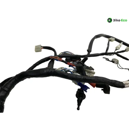 Faisceau electrique YAMAHA XT 660 R 2004-2006