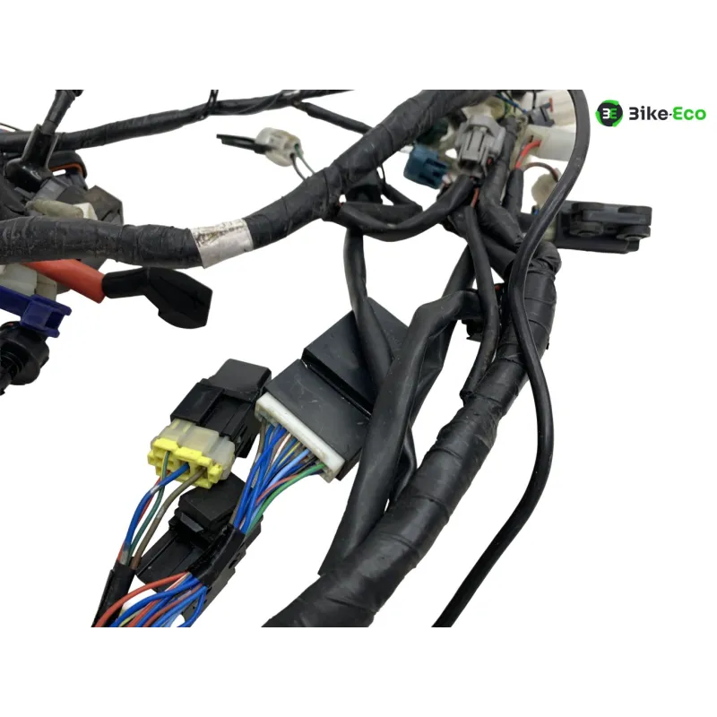 Faisceau electrique YAMAHA XT 660 R 2004-2006