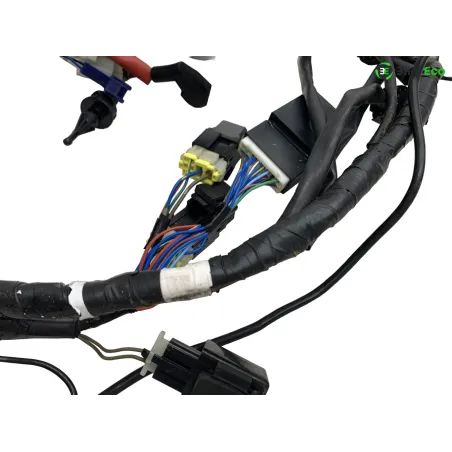 Faisceau electrique YAMAHA XT 660 R 2004-2006