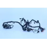 Faisceau electrique KAWASAKI NINJA 300 2013 - 2015