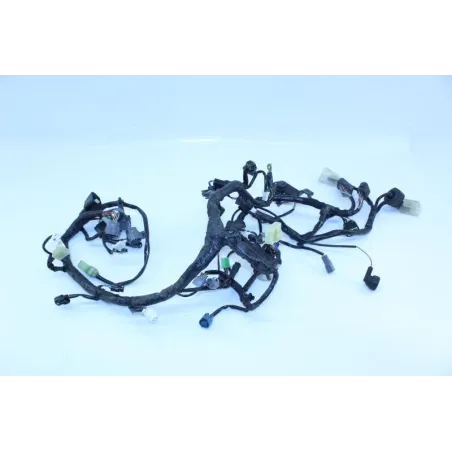 Faisceau electrique KAWASAKI NINJA 300 2013 - 2015