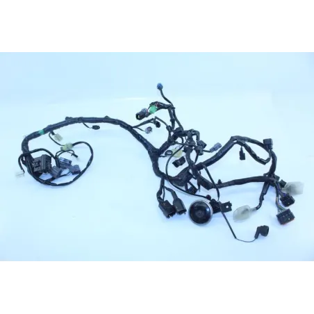 Faisceau electrique KAWASAKI NINJA 300 2013 - 2015