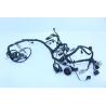 Faisceau electrique KAWASAKI NINJA 300 2013 - 2015