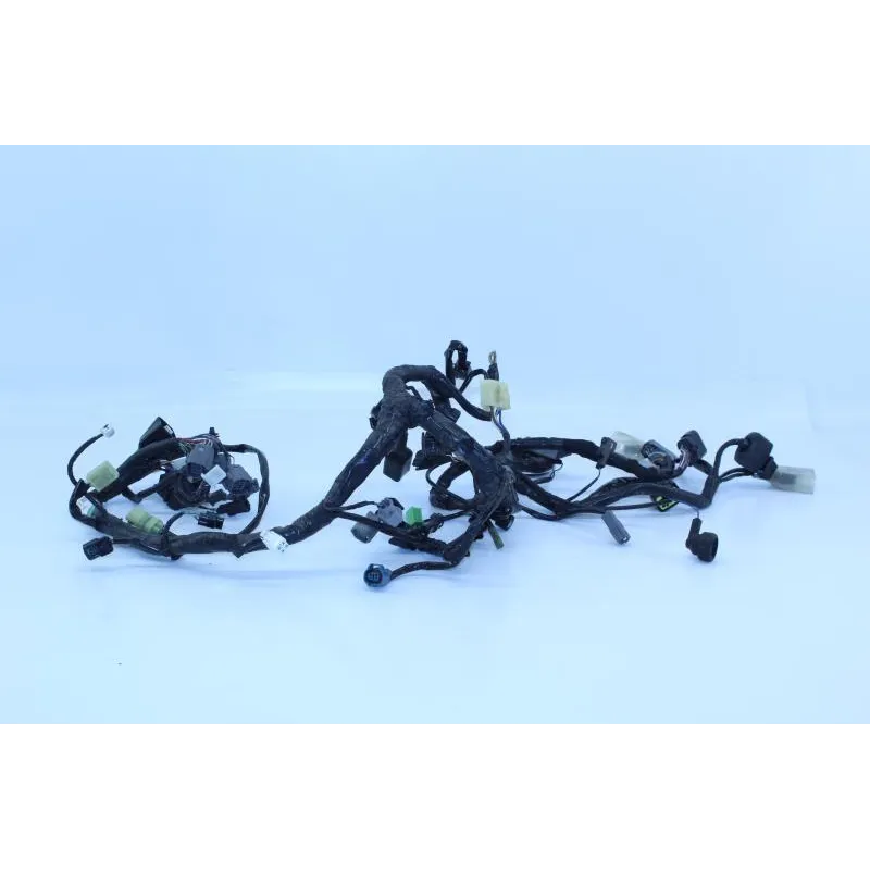Faisceau electrique KAWASAKI NINJA 300 2013 - 2015