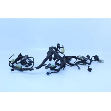 Faisceau electrique KAWASAKI NINJA 300 2013 - 2015