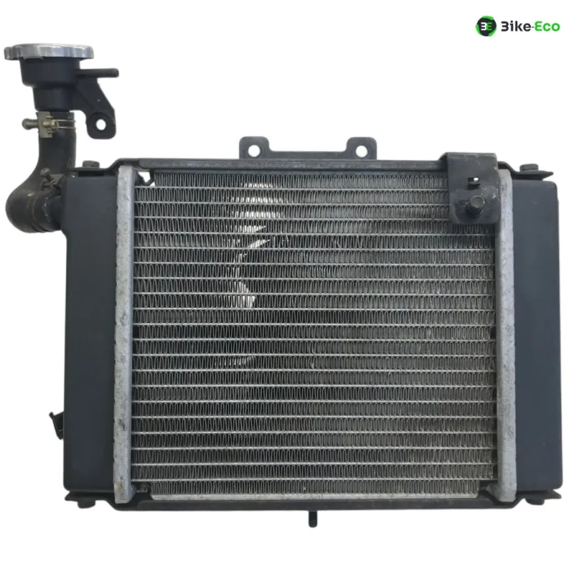 Radiateur eau KYMCO GRAND DINK 125 2003-2004 EURO2