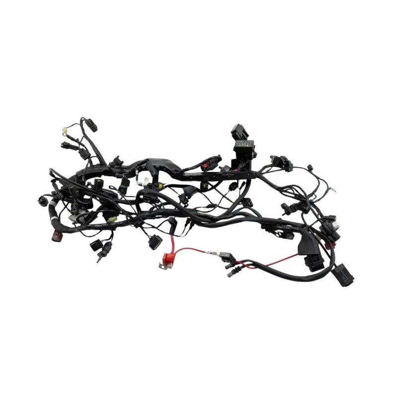 Faisceau electrique TRIUMPH STREET TRIPLE 765 RS ABS 2023 - 2024