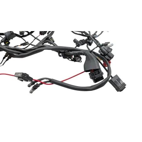 Faisceau electrique TRIUMPH STREET TRIPLE 765 RS ABS 2023 - 2024