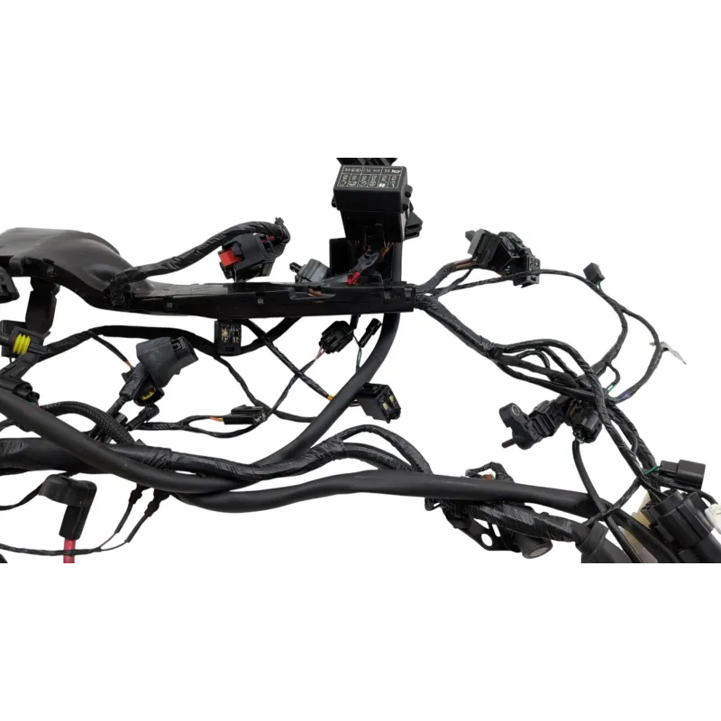 Faisceau electrique TRIUMPH STREET TRIPLE 765 RS ABS 2023 - 2024