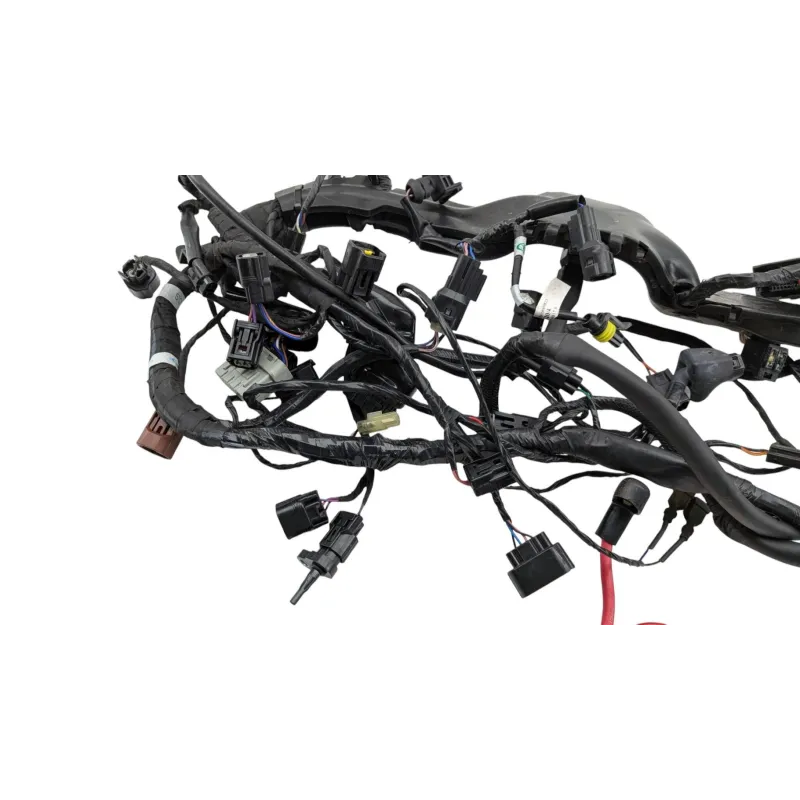 Faisceau electrique TRIUMPH STREET TRIPLE 765 RS ABS 2023 - 2024