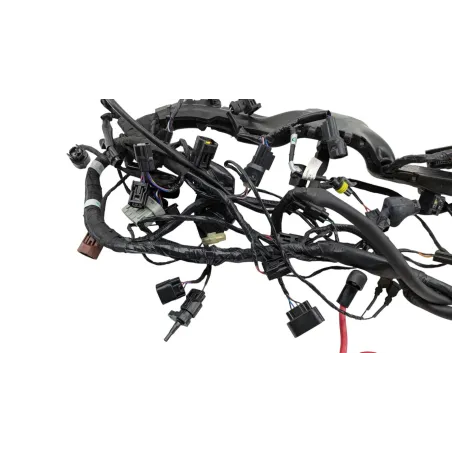 Faisceau electrique TRIUMPH STREET TRIPLE 765 RS ABS 2023 - 2024