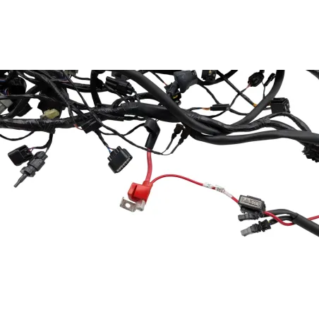 Faisceau electrique TRIUMPH STREET TRIPLE 765 RS ABS 2023 - 2024