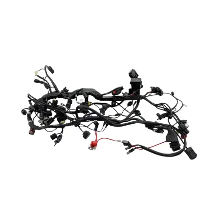 Faisceau electrique TRIUMPH STREET TRIPLE 765 RS ABS 2023 - 2024