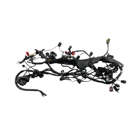 Faisceau electrique TRIUMPH STREET TRIPLE 765 RS ABS 2023 - 2024