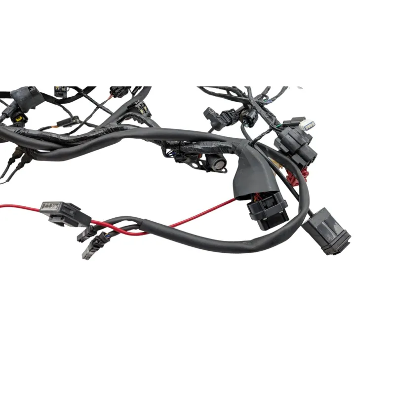 Faisceau electrique TRIUMPH STREET TRIPLE 765 RS ABS 2023 - 2024