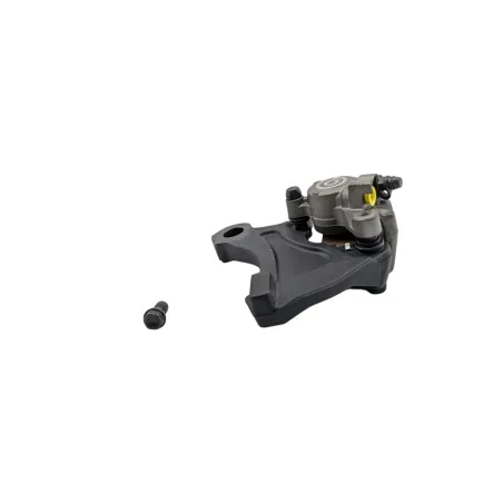 Etrier de frein arriere TRIUMPH STREET TRIPLE 765 RS ABS 2023 - 2024