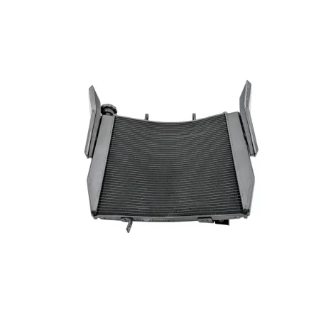 Radiateur eau TRIUMPH STREET TRIPLE 765 RS ABS 2023 - 2024