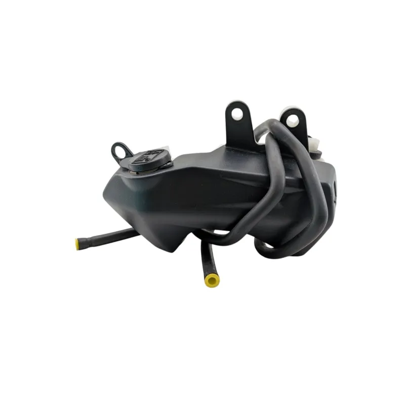 Vase expansion TRIUMPH STREET TRIPLE 765 RS ABS 2023 - 2024