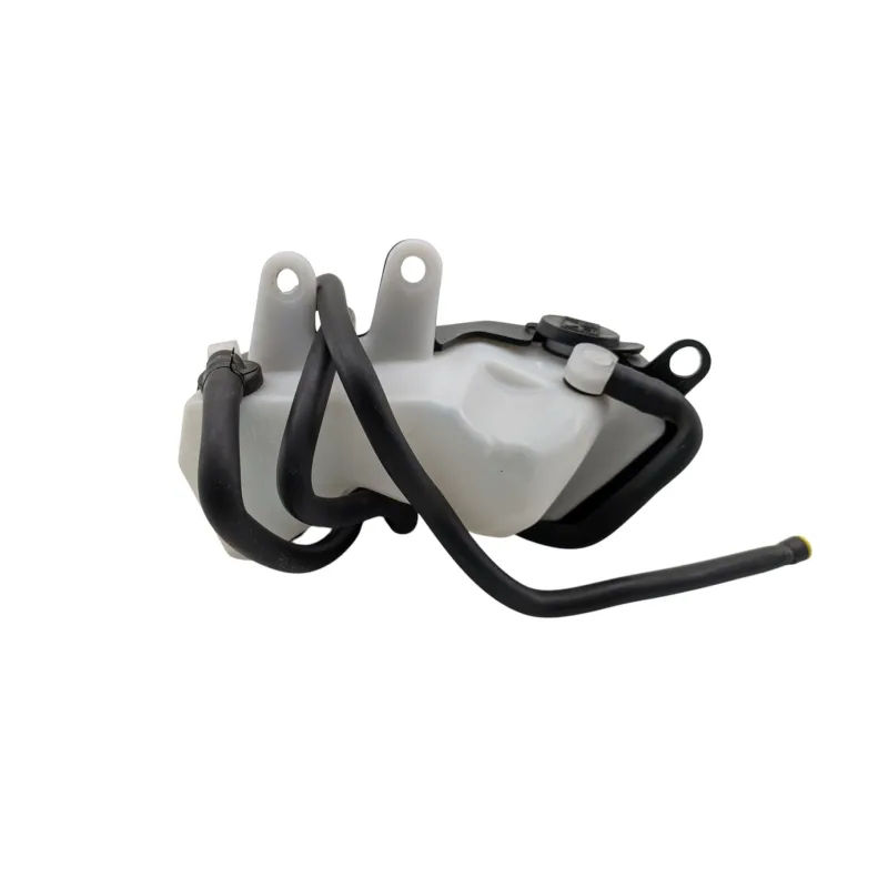 Vase expansion TRIUMPH STREET TRIPLE 765 RS ABS 2023 - 2024
