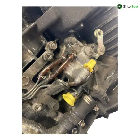 Moteur HONDA MVX 250 F 1983-1984
