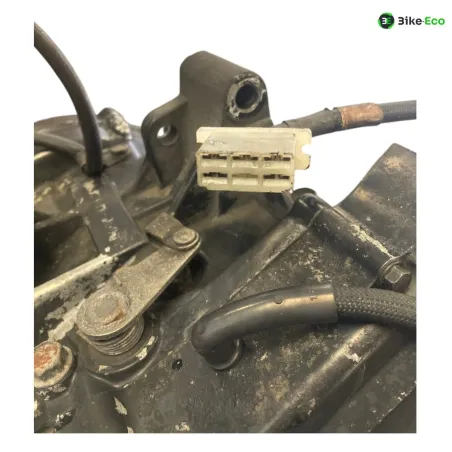 Moteur HONDA MVX 250 F 1983-1984