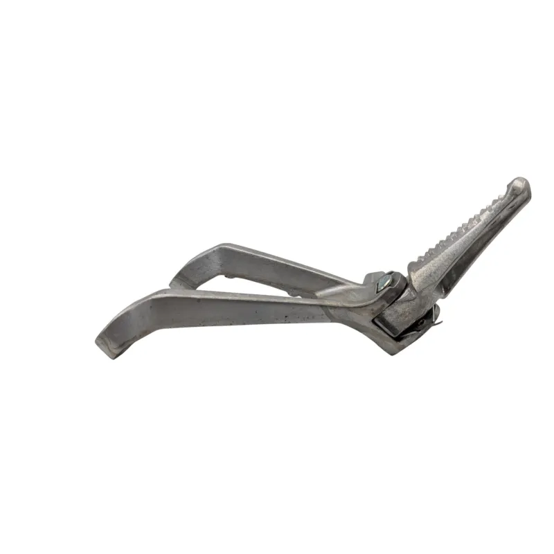 Platine arriere gauche HONDA CB 125 R ABS 2021 - 2025