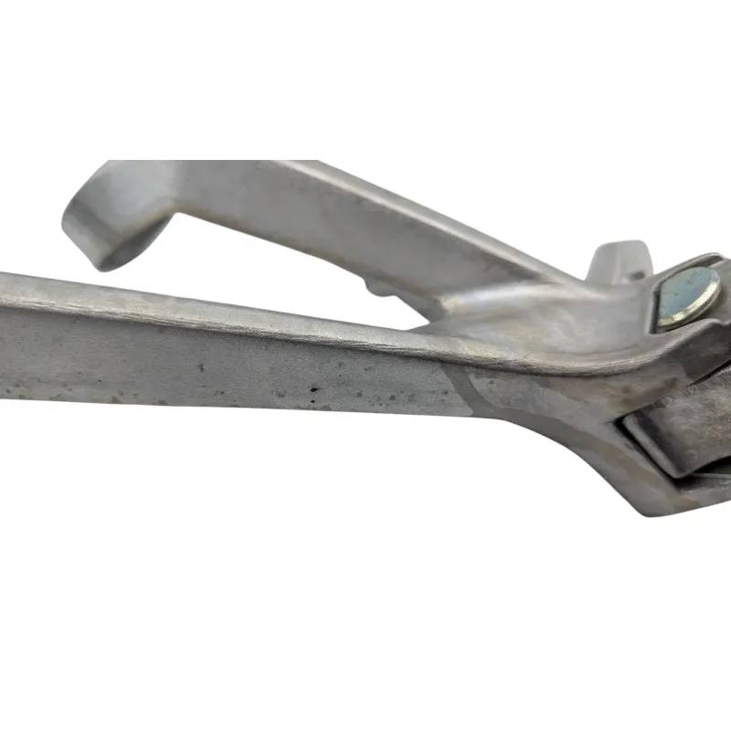 Platine arriere gauche HONDA CB 125 R ABS 2021 - 2025