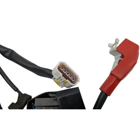 Faisceau electrique HONDA CB 125 R ABS 2021 - 2025