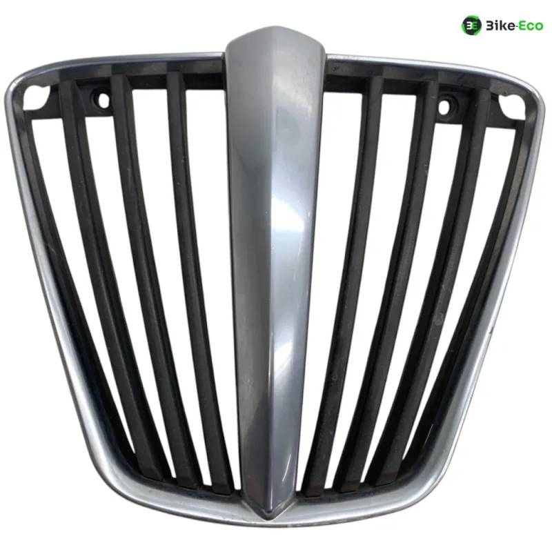 Grille de radiateur PIAGGIO MP3 400 2007-2011