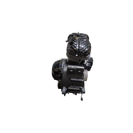 Moteur INDIAN MOTORCYCLE CHIEF DARK HORSE 1890 2021 - 2026