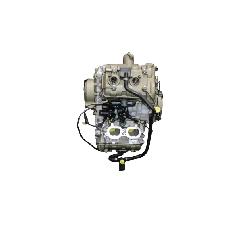 Moteur DUCATI PANIGALE V4 S ABS 2020 - 2021