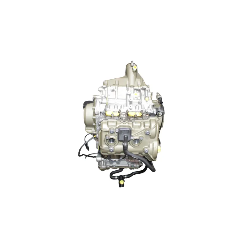 Moteur DUCATI PANIGALE V4 S ABS 2020 - 2021